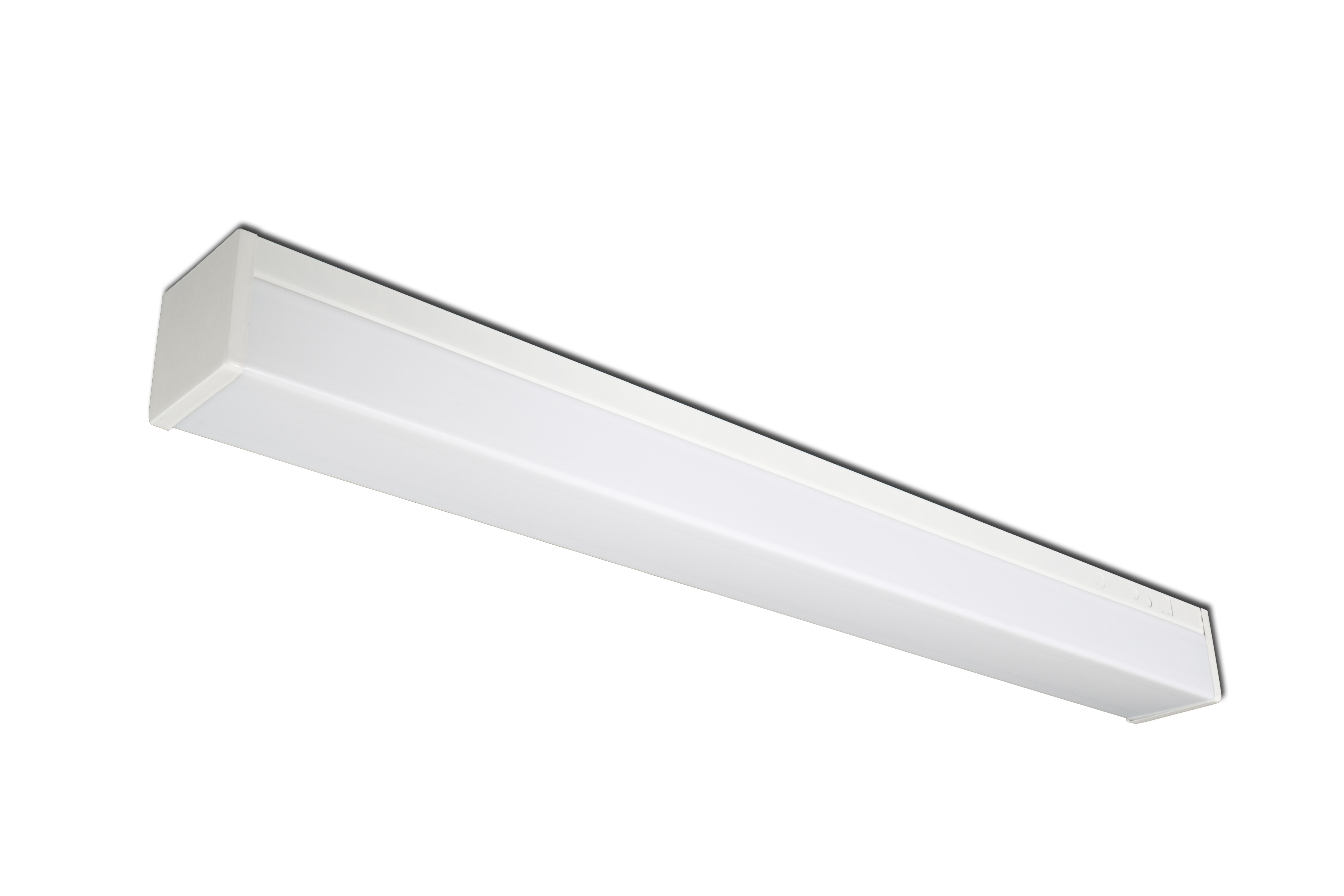 Full Acrylic Diffuser Ceiling/Wall Mount Luminaire